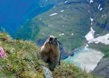 Über die Großglockner Hochalpenstraße nach Heiligenblut